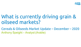 Cereals & Oilseeds Market Update December 2020